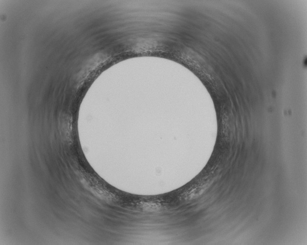 X0000072950592200608111628