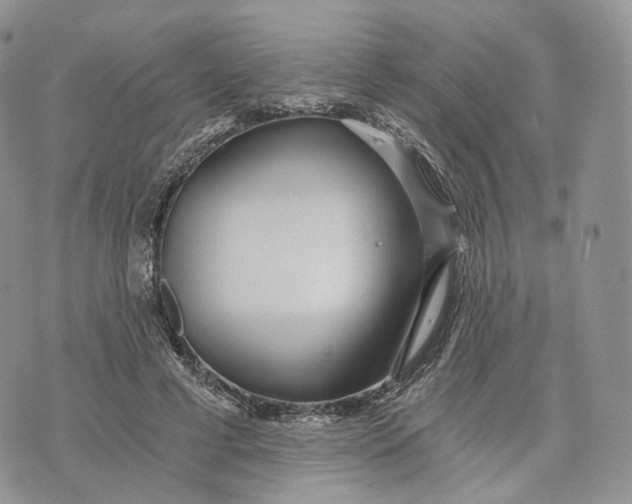 X0000072950593200608111628