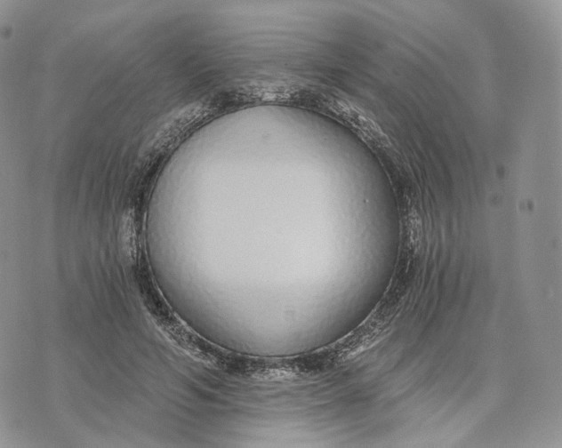 X0000072950594200608111628