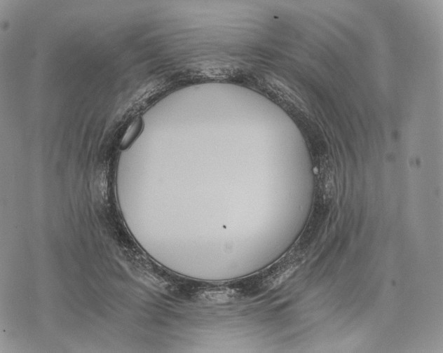 X0000072950595200608111628