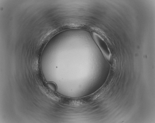 X0000072950596200608111628