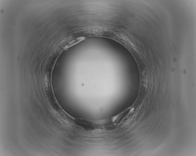 X0000072950597200608111627