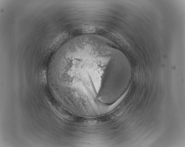 X0000072950598200608111627