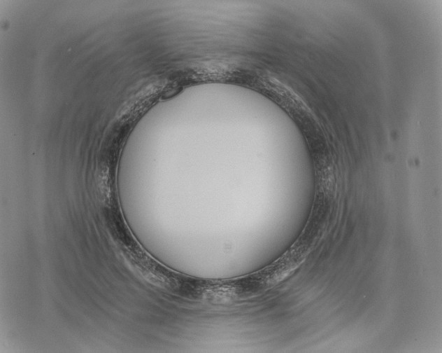 X0000072950599200608111627