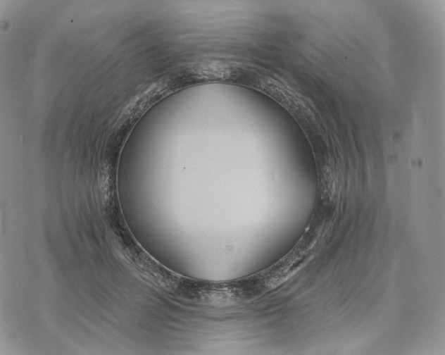 X0000072950600200608111627