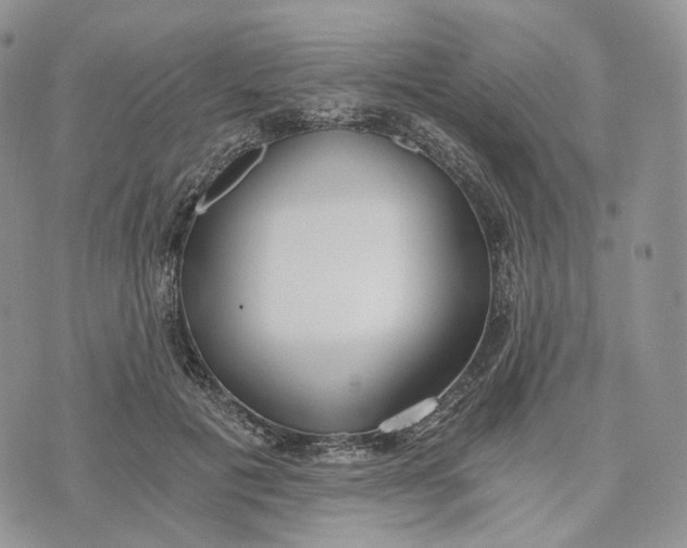 X0000072950601200608111627