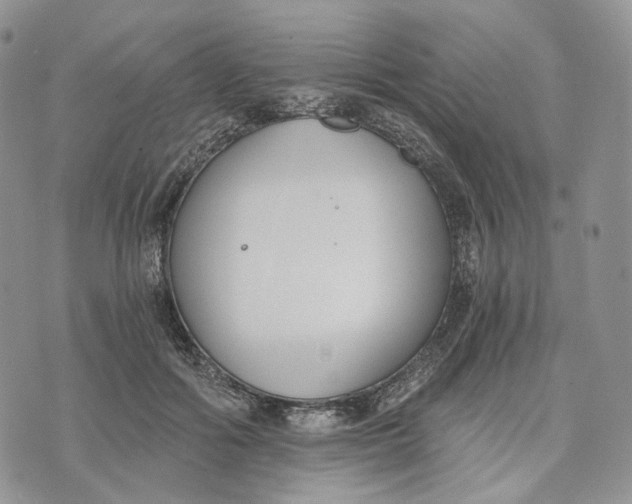 X0000072950602200608111627