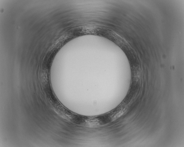 X0000072950603200608111627