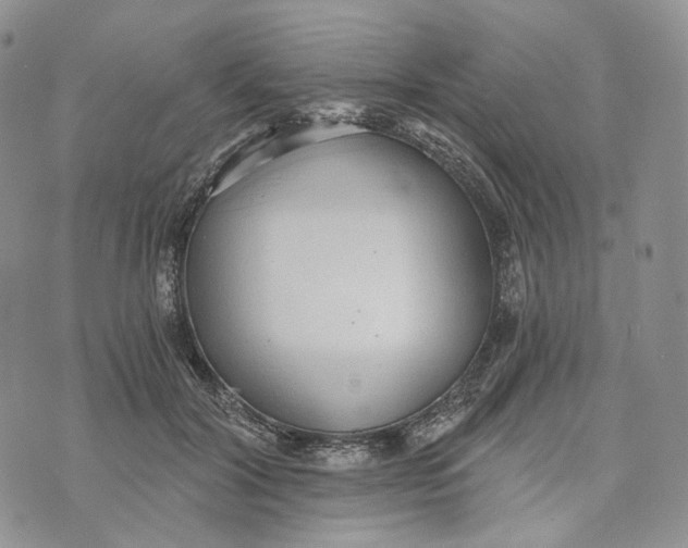 X0000072950604200608111627