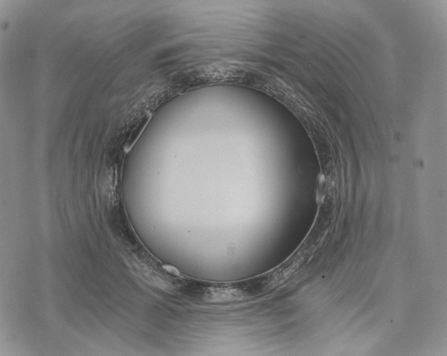 X0000072950605200608111627