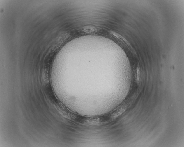 X0000072950606200608111627