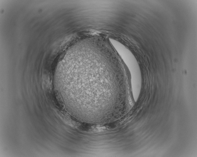 X0000072950607200608111627