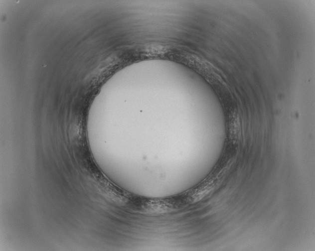 X0000072950608200608111627