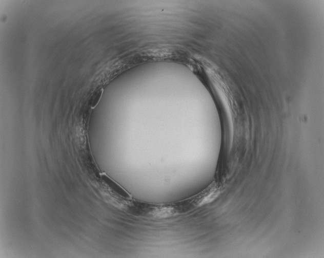 X0000072950609200608111627