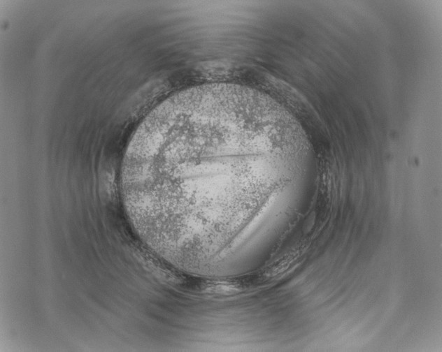 X0000072950610200608111627