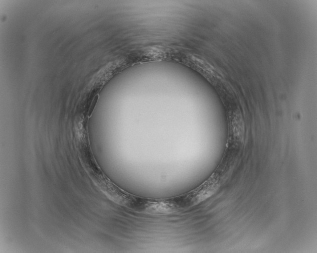 X0000072950611200608111627