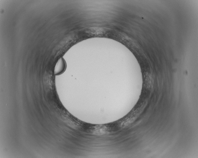 X0000072950612200608111627