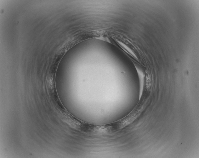 X0000072950613200608111627