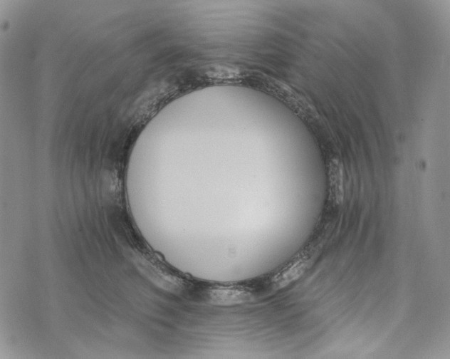 X0000072950614200608111627