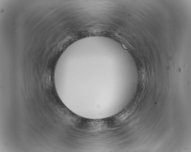 X0000072950615200608111627