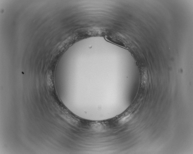 X0000072950616200608111627