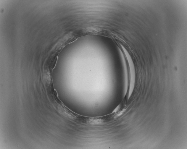 X0000072950617200608111627