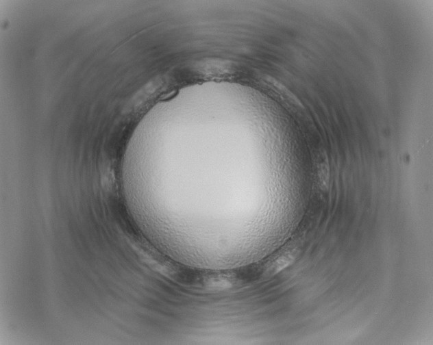 X0000072950618200608111627