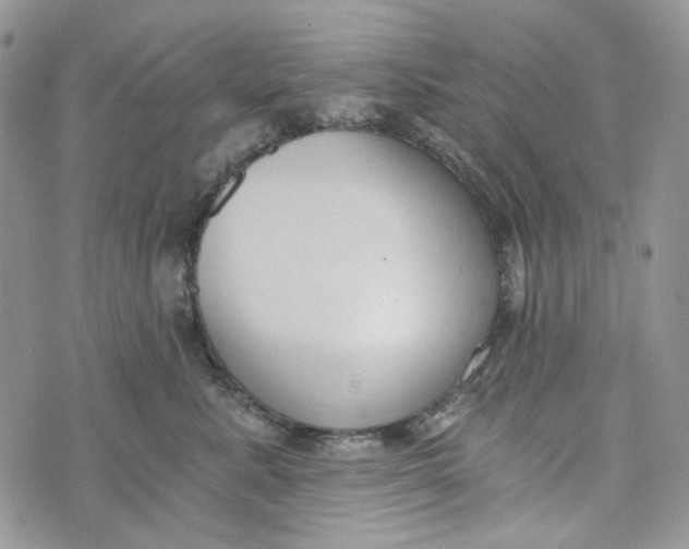 X0000072950619200608111627