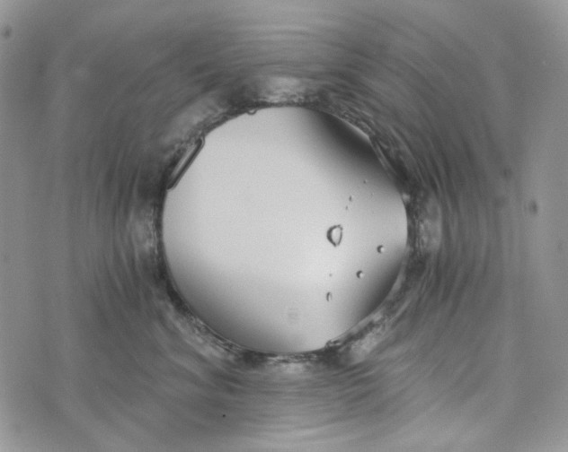 X0000072950620200608111627