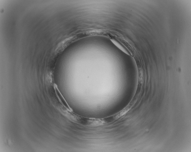 X0000072950621200608111627