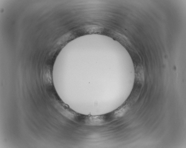 X0000072950622200608111627