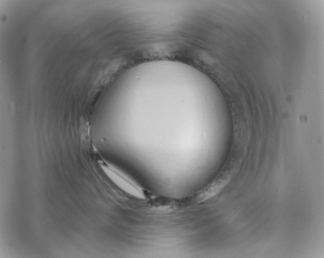 X0000072950624200608111627