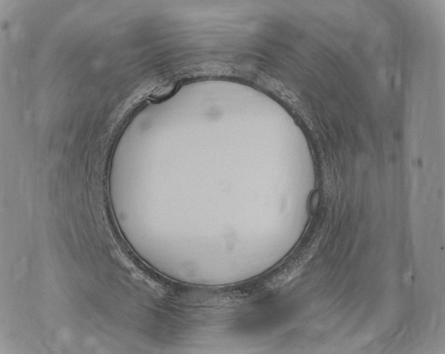 X0000072950625200608111626