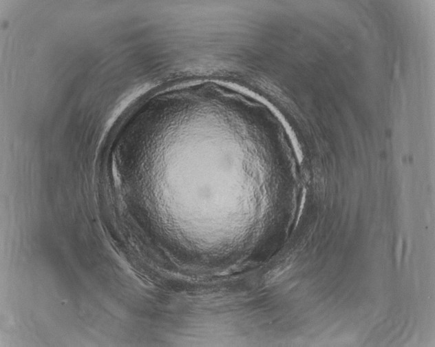 X0000072950626200608111626