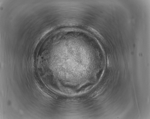 X0000072950627200608111626