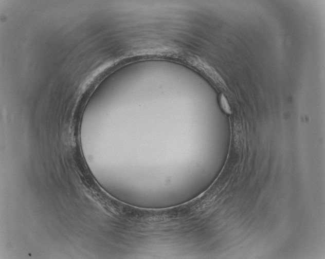 X0000072950628200608111626