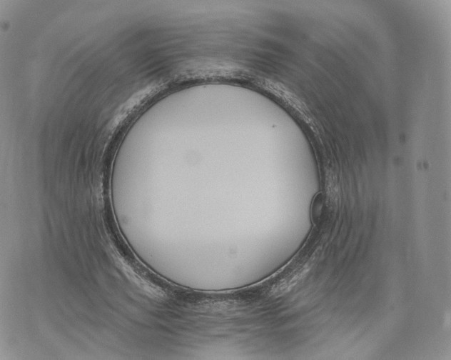 X0000072950629200608111626