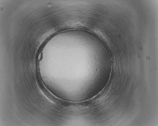 X0000072950630200608111626