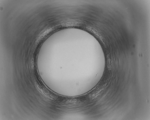 X0000072950631200608111626