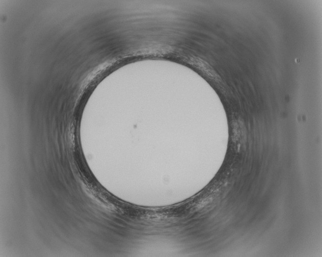 X0000072950632200608111626