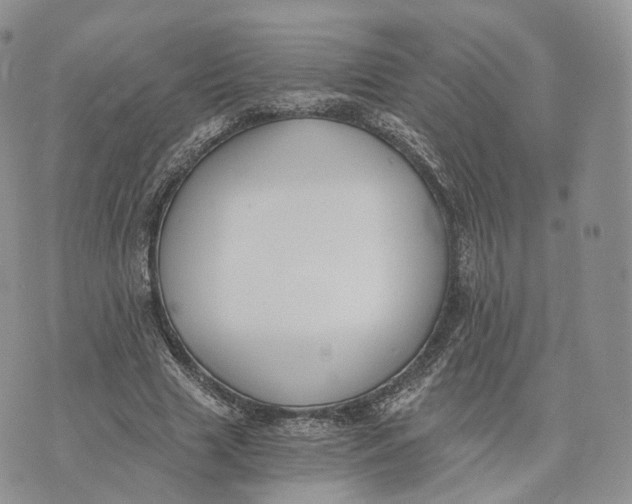 X0000072950633200608111626