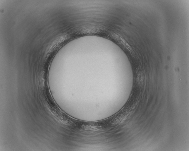 X0000072950635200608111626