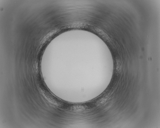 X0000072950636200608111626