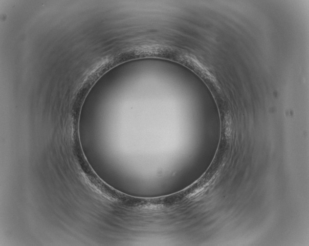 X0000072950637200608111626