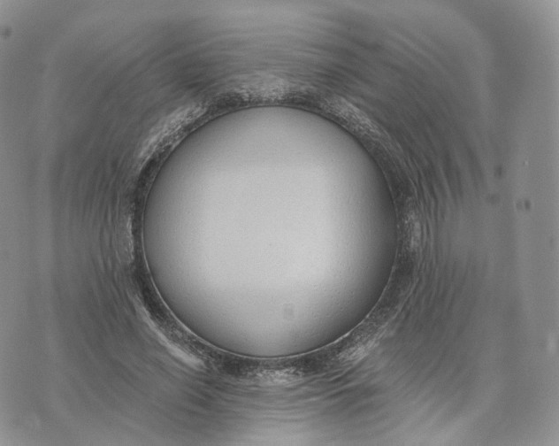 X0000072950638200608111626