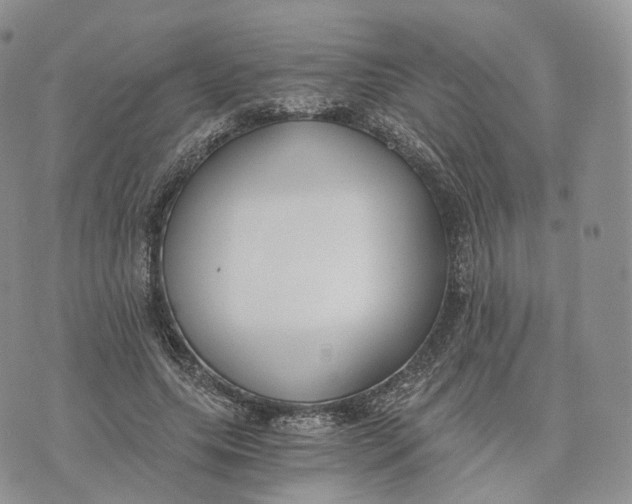 X0000072950639200608111627