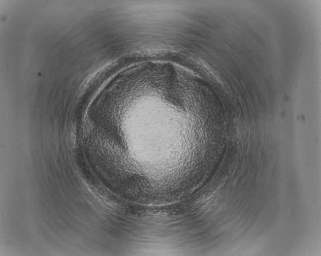 X0000072950640200608111627