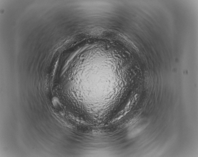 X0000072950641200608111627