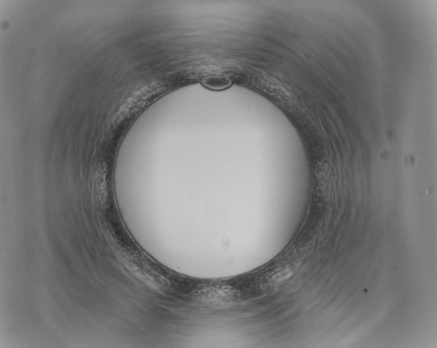 X0000072950642200608111627