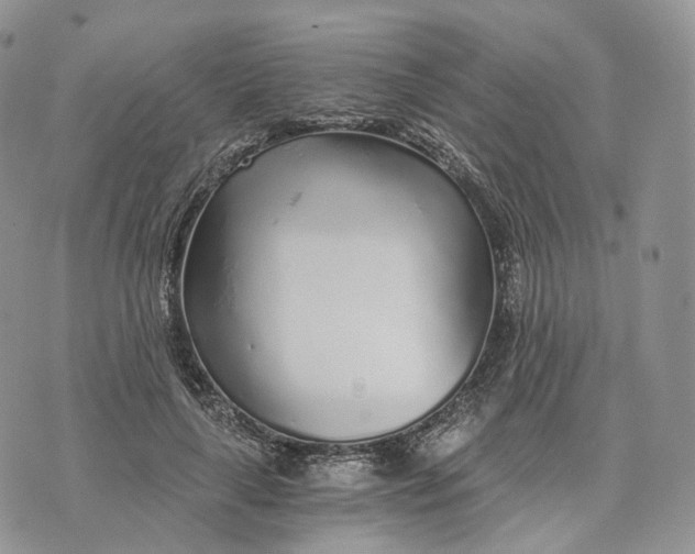 X0000072950643200608111627